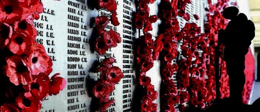 author Joanne Reed
This Is Your Quest
Celebrating Remembrance Day - 11th November