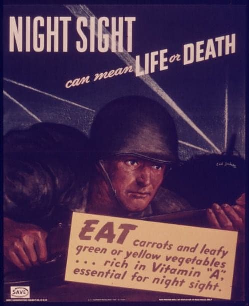 author joanne reed
this is your quest
night sight can mean life or death
information and disinformation