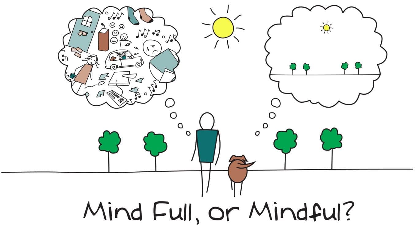 Author Joanne Reed
This is your quest
what is your superpower
mind full or mindful