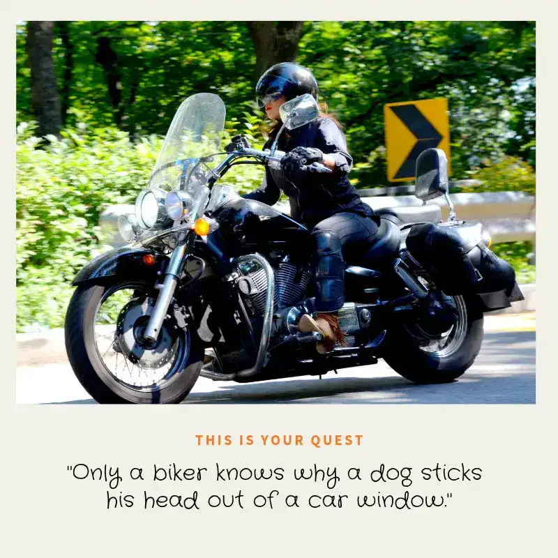Female biker cruising on a motorbike with the quote, “Only a biker knows why a dog sticks his head out of a car window.”
