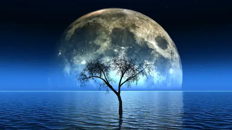 A single tree standing in calm water under a full moon, evoking a sense of quiet endurance and timelessness.